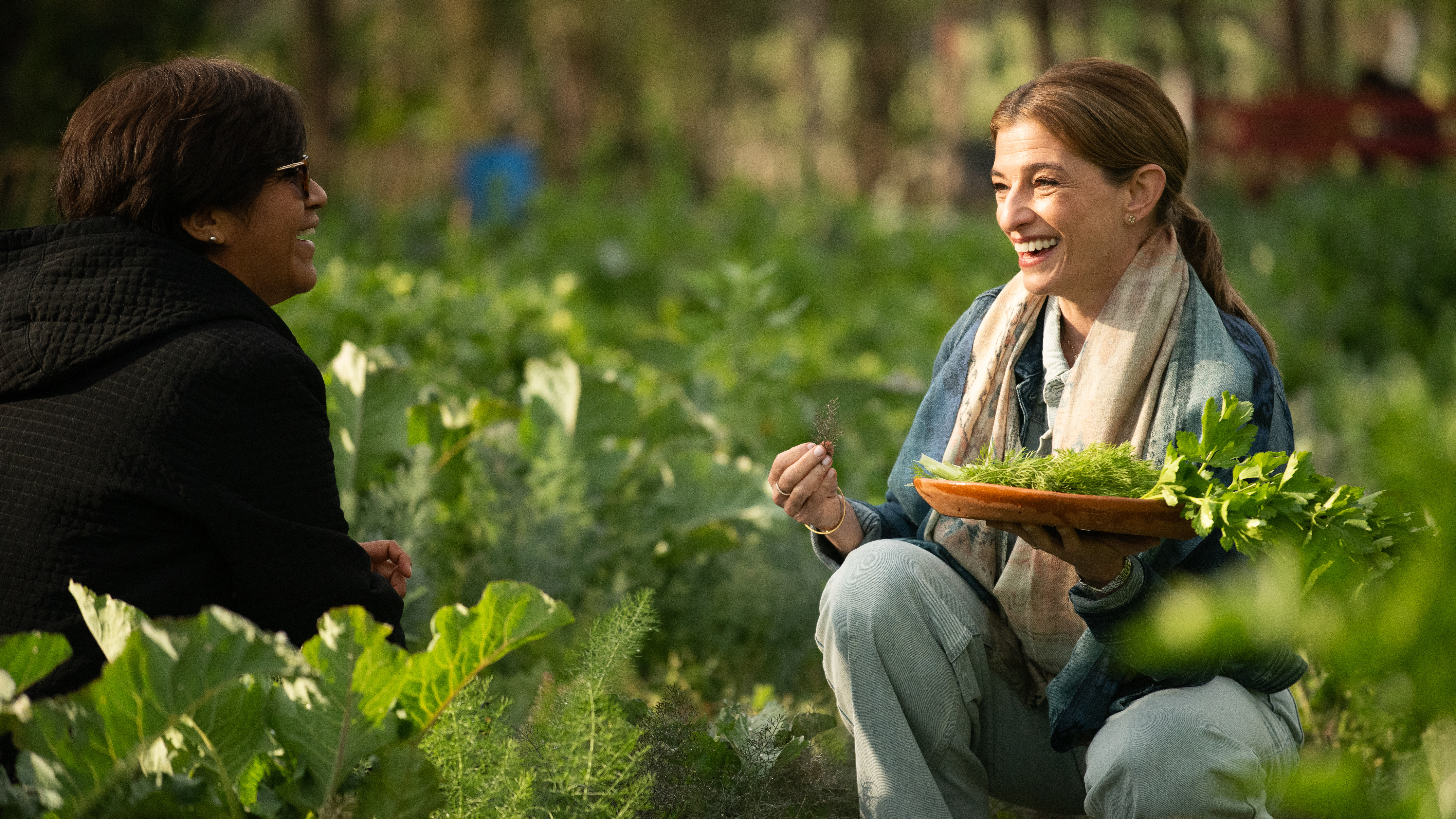 Check for Pati's Mexican Table Season 14 airing on a public television station near you!